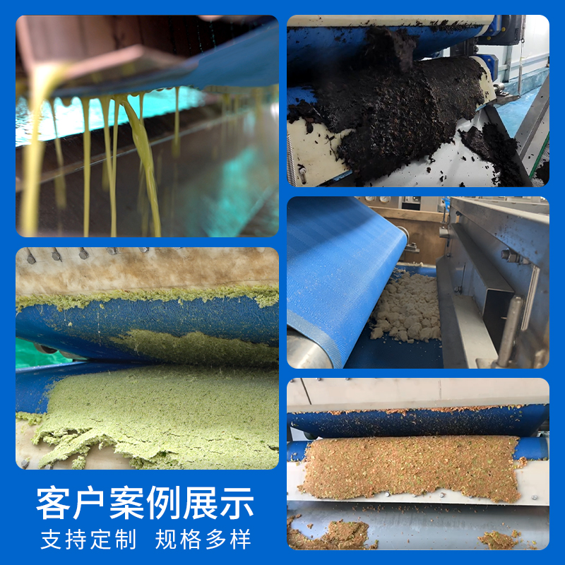 帶（dài）式果汁壓榨機案例