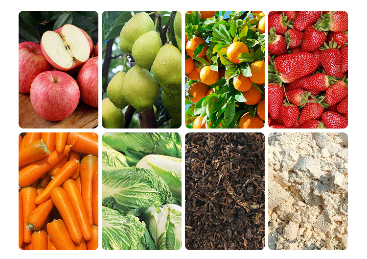 帶式蔬菜壓榨生產線