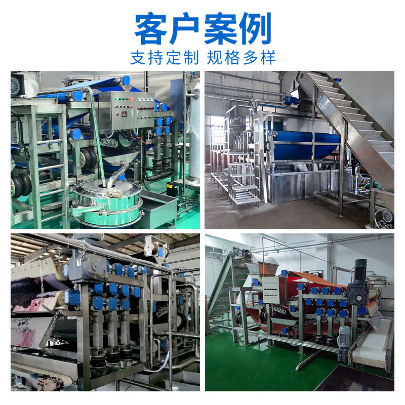 帶式蔬菜壓榨生產線