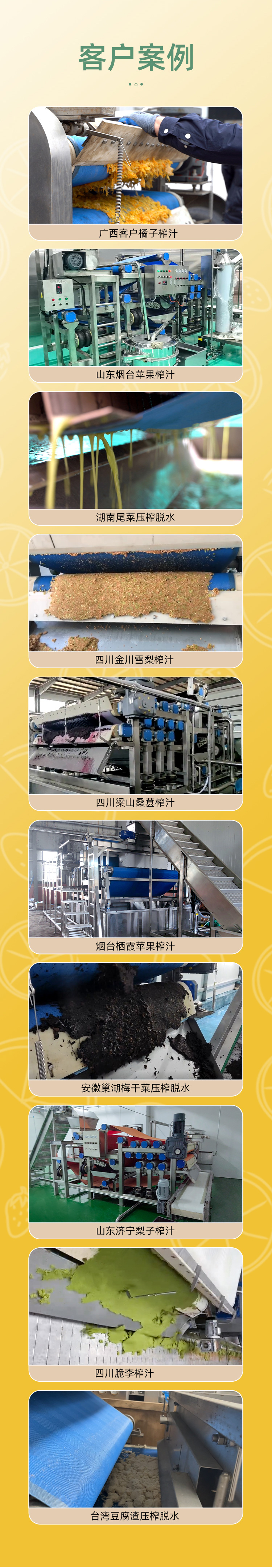 帶式（shì）蘋果汁壓榨生產線